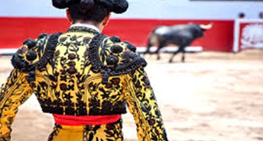 Miniatura del curso